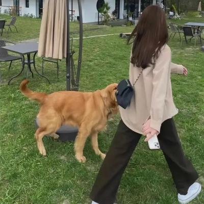 当蚂蚁爱上蟋蟀